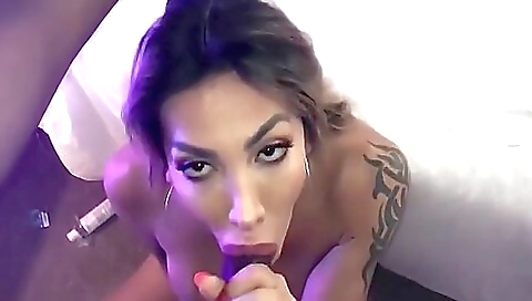 Tattooed brunette babe with big tits sucking a big cock